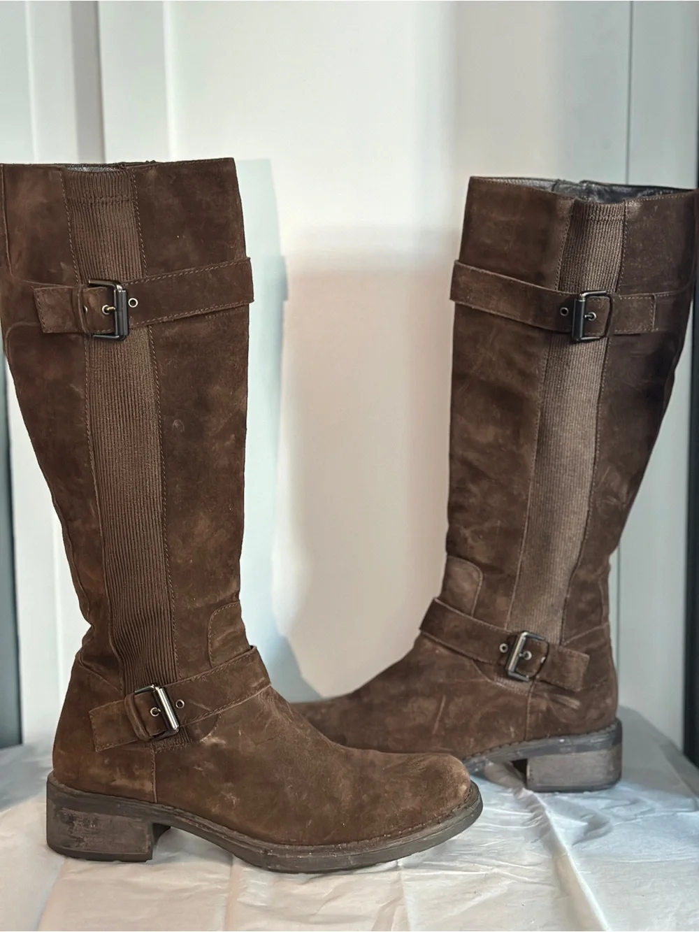 Aquatalia Tall Suede Heeled Boots